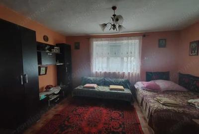 Casă cu 4 camere cu Teren 6300 Mp în Iteu - 3