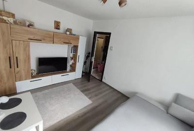 Apartament cu 2 camere semidecomandat în Malu Roșu - 7