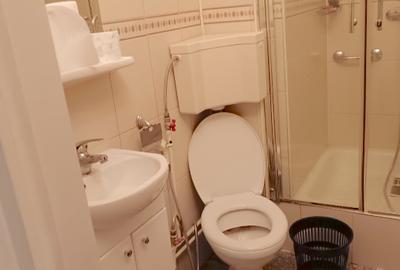 Apartament cu 3 camere decomandat în Universitate - 6