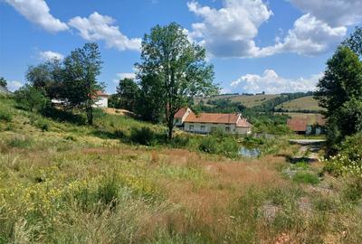 Teren de 4500 mp, în Brebu - 27