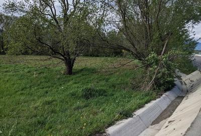 Teren în Copăcel - 5