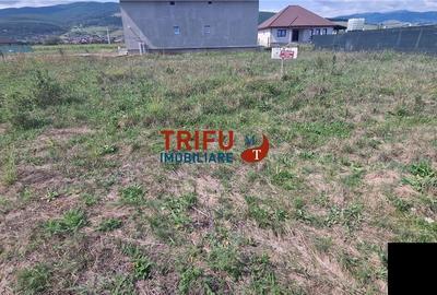 Teren intravilan pretabil casă P+1+M în Micesti - 3
