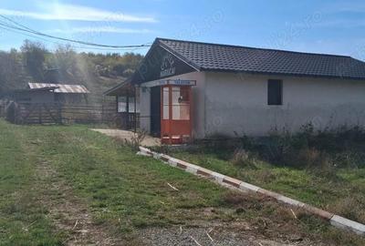 Ferma de vanzare , zona Dambu - 1