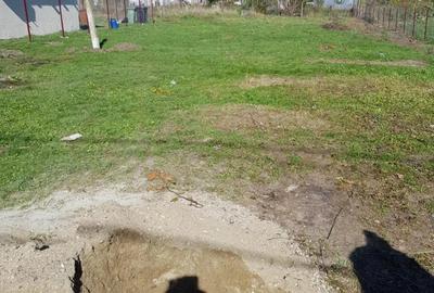 Teren de 10000 mp, în Becicherecu Mic - 2