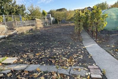 Teren ideal pentru constructie noua-800 mp cu front 22 ml - 1