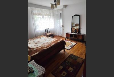 Vila spațioasă 5 dormitoare, Provita de Jos - 13