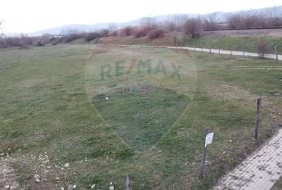 Teren Construcții intravilan de 6010 mp, în Central - 3