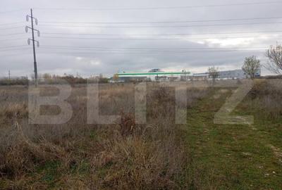 Teren de 9000 mp, în Priseaca - 2