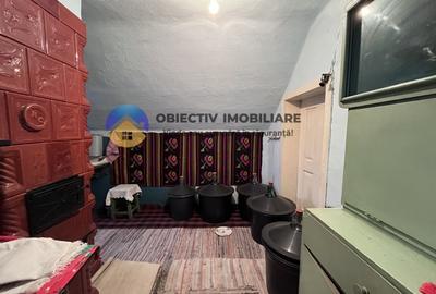 Casa si teren 3054 mp - Negresti - 7