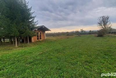 Loc. Unguras (jud, MM) - proprietate deosebita - 13