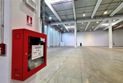 Spațiu industrial, de 3,495 mp, în Lugojului - 6