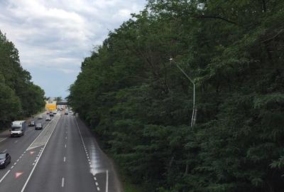 REL4000144 Teren DN1 - Padurea Petresti - 1