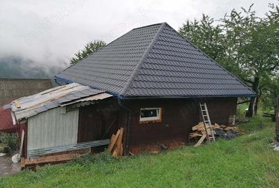 Inima Transilvaniei - 1