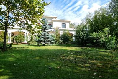 Refugiu Exclusivist – Armonie între Natură și Arhitectură - 14