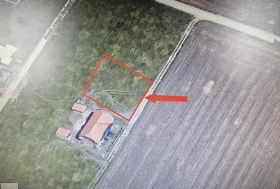 Teren de 757 mp, în Dumbrăvița - 1