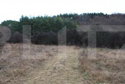 Teren de 1539 mp, în Făget - 2