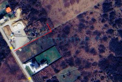 Teren Construcții intravilan de 2000 mp, în Săldăbagiu de Munte - 2