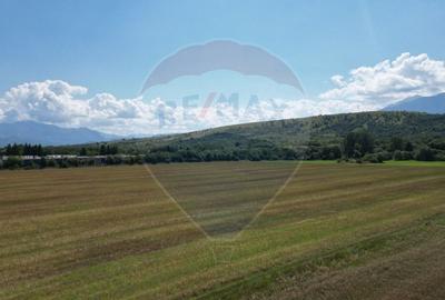 Teren agricol intravilan de 1180 mp, în Sud - 10