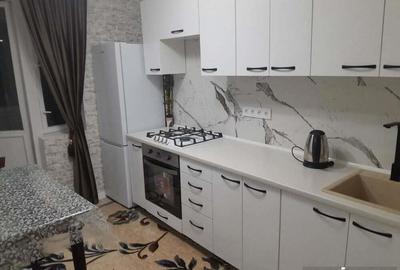 Apartament cu 1 camera Faget - 3