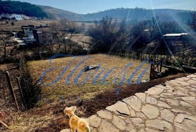 Casa tip duplex, 200 mp, zona Tautiului - 6