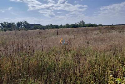 Teren intravilan de 400 mp, în Bradu - 1