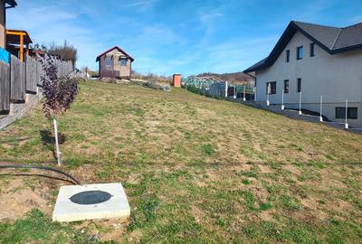 Vand teren in Chinteni - 3