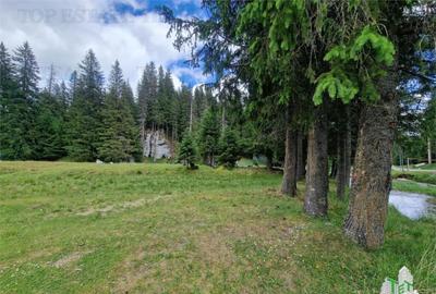 Teren de 6000 mp, în Dobrești - 6