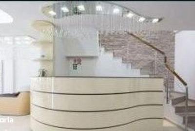 Spațiu comercial, de 250 mp, în Tei