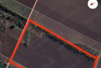 Teren Construcții intravilan de 2999 mp, în Ghighiu - 3