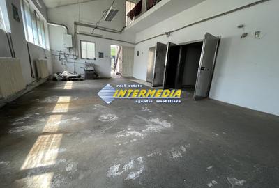 Spațiu industrial, de 160 mp, în Ampoi 1 - 5
