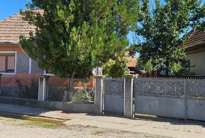 Casă cu 4 camere cu Teren 1013 Mp în Sâncel - 3