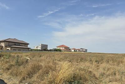 Teren de 6000 mp, în Lazu - 1