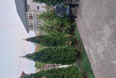 Vila de inchiriat - 8