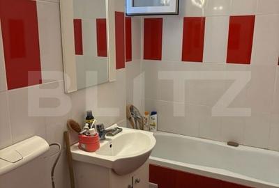 Apartament cu 2 camere semidecomandat în Paltin - 5