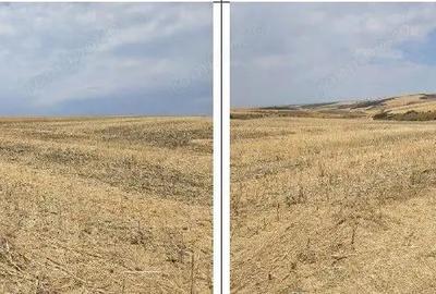 Teren Negureni, cota parte 1/8, ID: R2695094 - 5