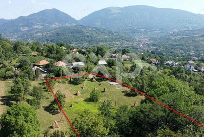 Teren Construcții intravilan de 6348 mp, în Corbeni - 5