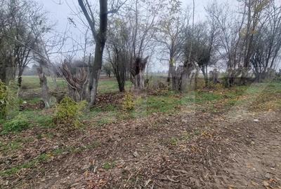 OPORTUNITATE TEREN 0,9 Ha intravilan constructii+extravilan - 18