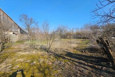 Casă cu 4 camere cu Teren 1000 Mp în Sâncel - 3