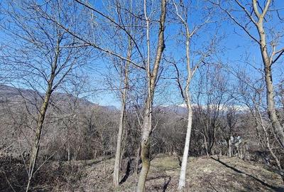 Teren de 2178 mp, în Bărbătești - 1