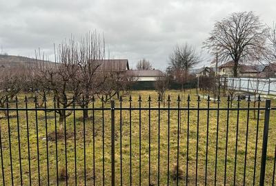 Spațiu comercial, în Dărmănești - 1