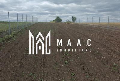 Teren agricol extravilan de 800 mp, în Șura Mică - 3