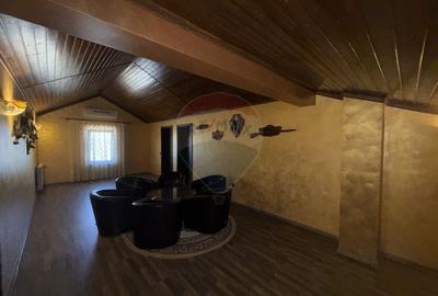 Casa de vacanta la 200m de Dunare - 33