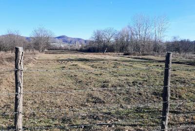 Teren de 5296 mp, în Est - 6