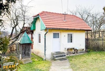 Casă individuală cu 2 camere cu Teren 4963 Mp în Dalnic - 33