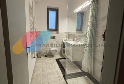 Spatiu 260 mp, Parcul Central – ideal birouri sau locuire - 11