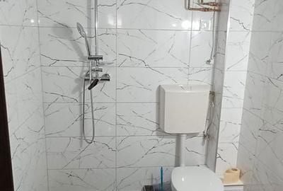 Apartament cu 3 camere în Valea Borcutului - 3