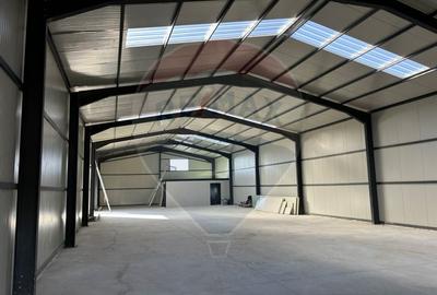 Spatiu industrial Hale 4+2 depozit logistic, birouri premium Aninoasa - 9