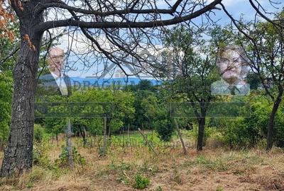 Teren generos 2240 mp cu casă bătrânească - Copăcești, județul Vrancea - 10