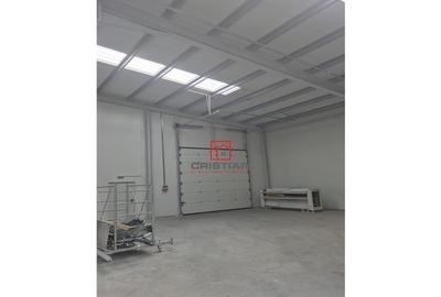 Depozit/hala/spatiu industrial Chiajna - Chitila - Rudeni - 12