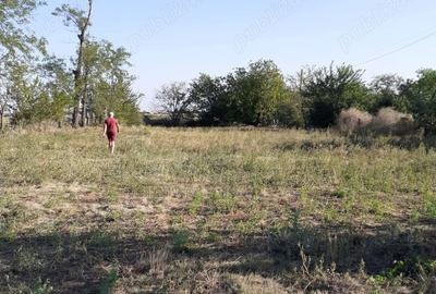 Teren de 2772 mp, în Găgeni - 3